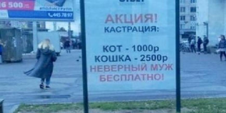 Реклама о кастрации мужей оскорбила петербуржцев