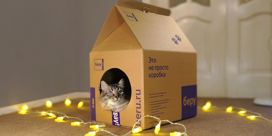 Беру выпустил серию коробок ко дню кошек