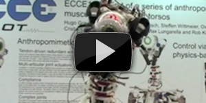 Страшный робот Eccerobot