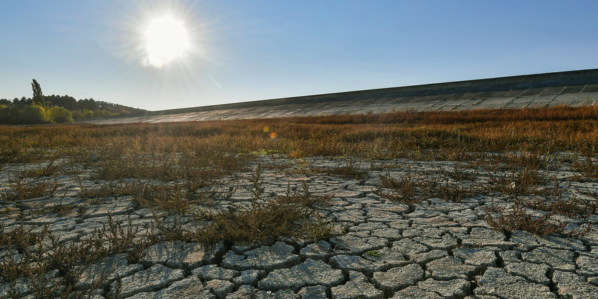 Югу России угрожает катастрофическая засуха