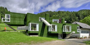 Дом с травяным фасадом