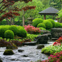 Особенности японских садов