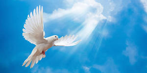 О мире в душе и мире с Богом