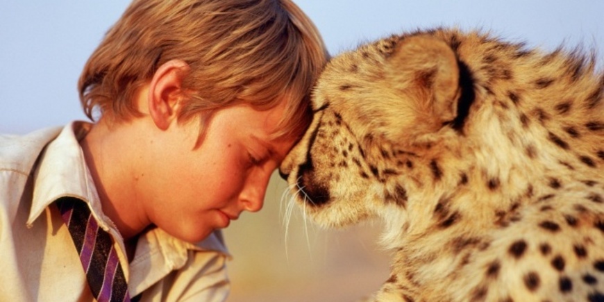 15 фильмов для тех, кто любит животных