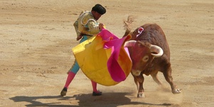 Коррида: испанский бой быков