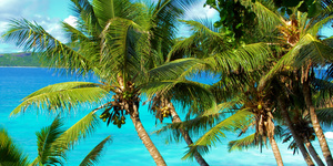 Сейшельские острова: рай на земле