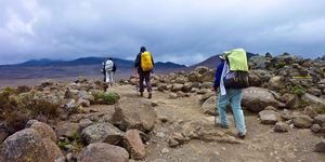 Толпы туристов вредят Килиманджаро