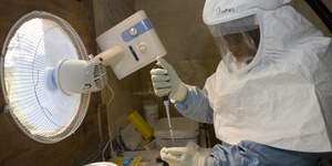 Угроза лихорадки Эбола стала мировой